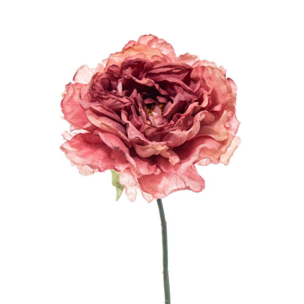 PICK PEONIA DRY PINK 28CM